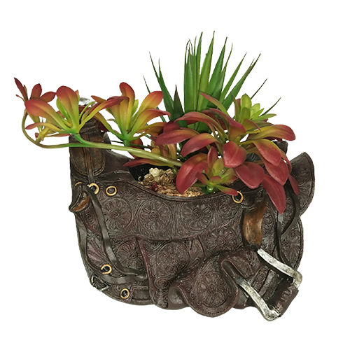Saddle Vase with Succulents