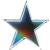 Large Neon Star