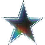 Large Neon Star