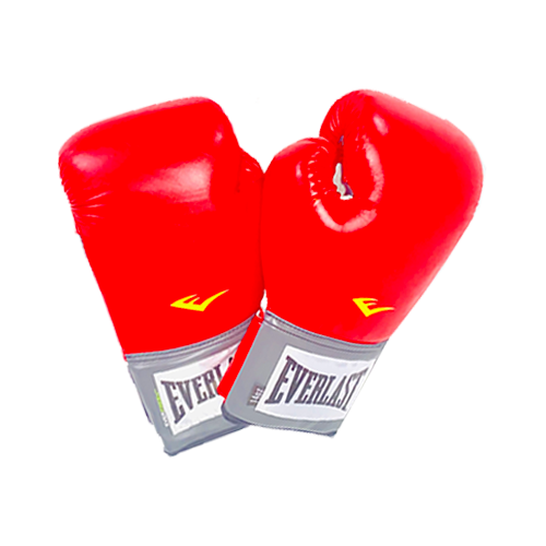 pair of boxing gloves