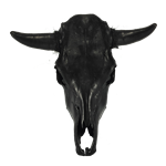 Cow Skull - Black