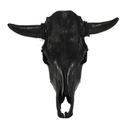 Cow Skull - Black