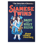 Oversized Vintage Poster - Siamese Twins