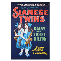 Oversized Vintage Poster - Siamese Twins