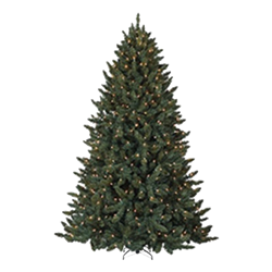 Green Lighted Tree 9-10'