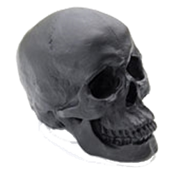 Black Faux Skull