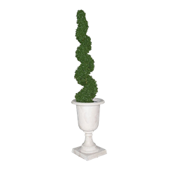 Spiral Topiary in Marble Urn