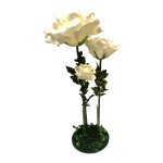 Rose Flower Set - Ivory