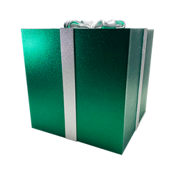 Green Gift Box with Silver Bow