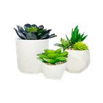 Modern Faux Mini Succulent Trio (Set of 3)