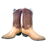 Oversized Pair of Cowboy Boots with LED Lighting